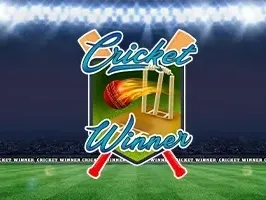 Cricket Winner game screenshot