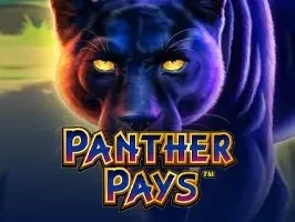 Panther Pays game screenshot